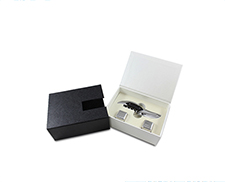 Wholesale Wine Accessories Gift Set With Ice Cube And Bottle Opener TZ-10